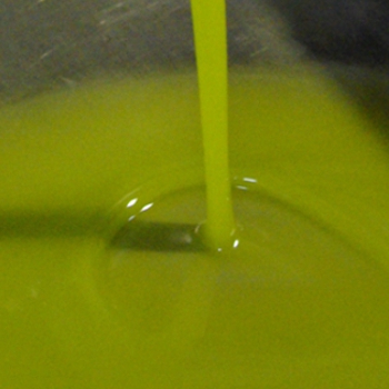 photo01