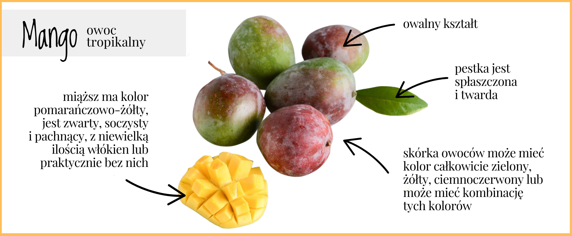 Mango: owoc tropikalny
