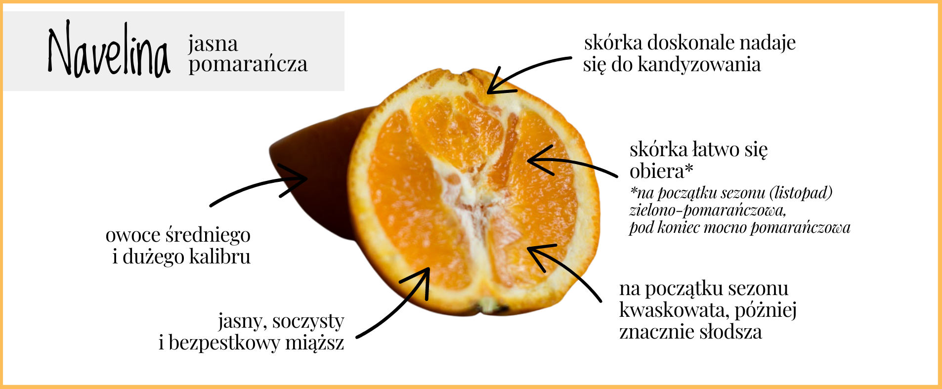 Navelina: jasna pomarańcza