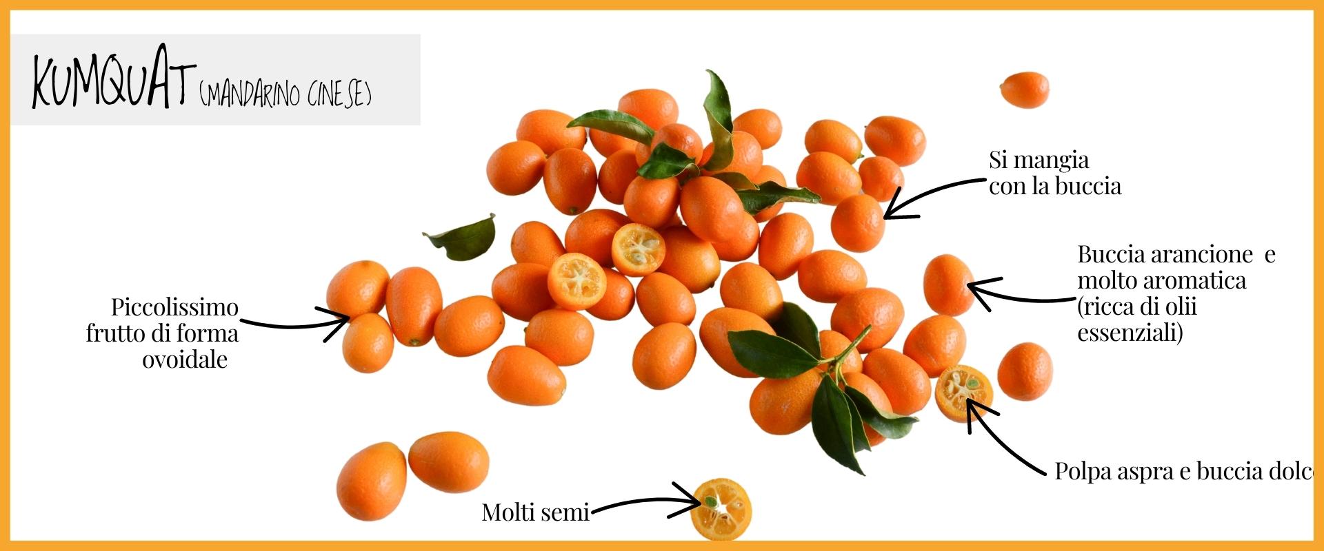 Kumquat: origini, caratteristiche e proprietà