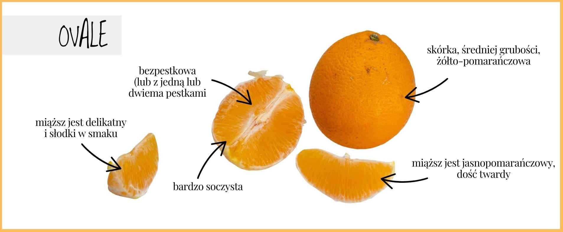 Ovale: jasna pomarańcza