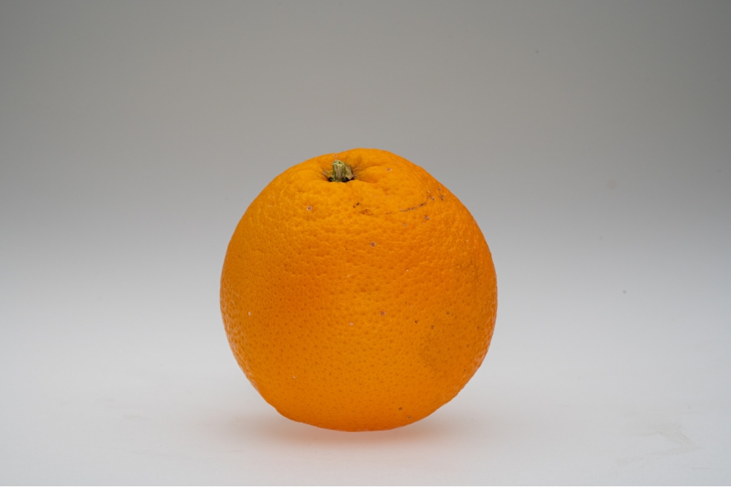 InCampagna pomarańcze Valencia BIO