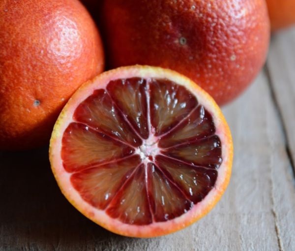 Moro Blog InCampagna