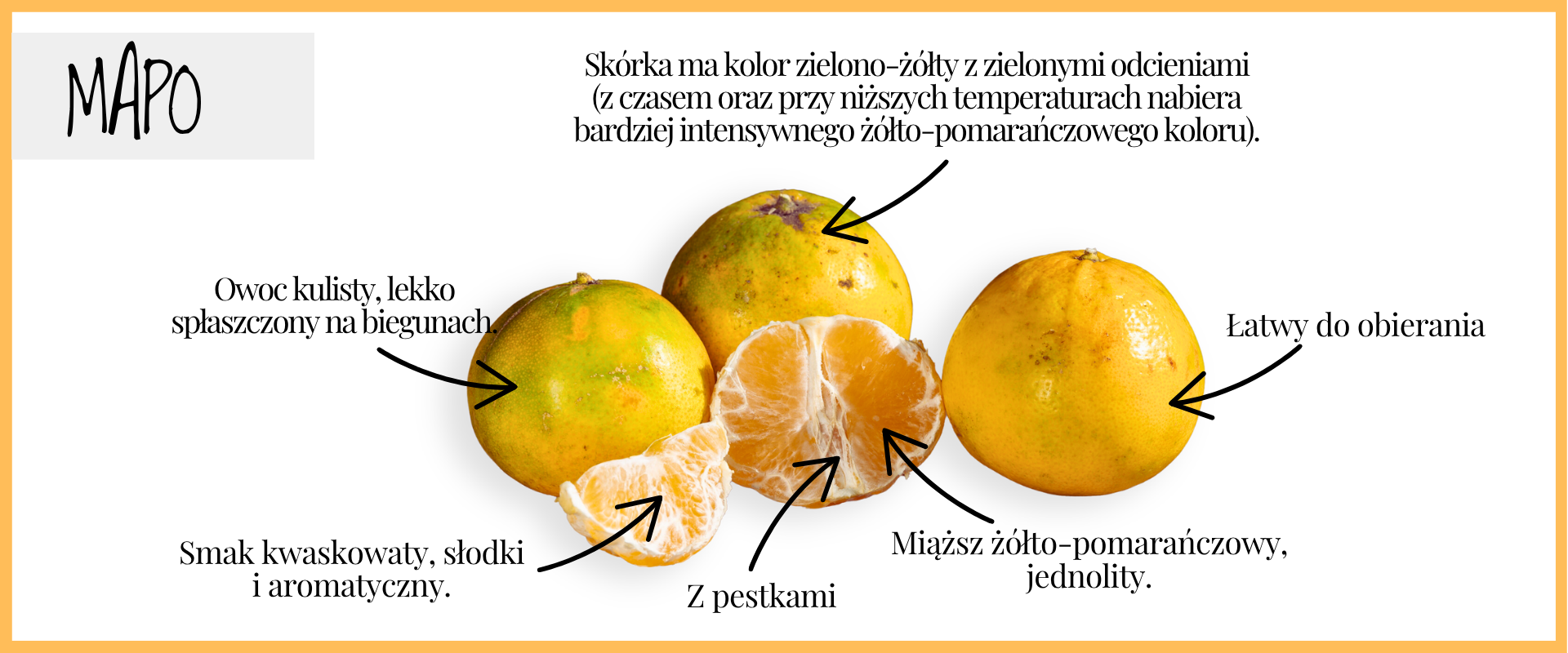 MAPO: KIEDY MANDARYNKA SPOTYKA GREJPFRUTA