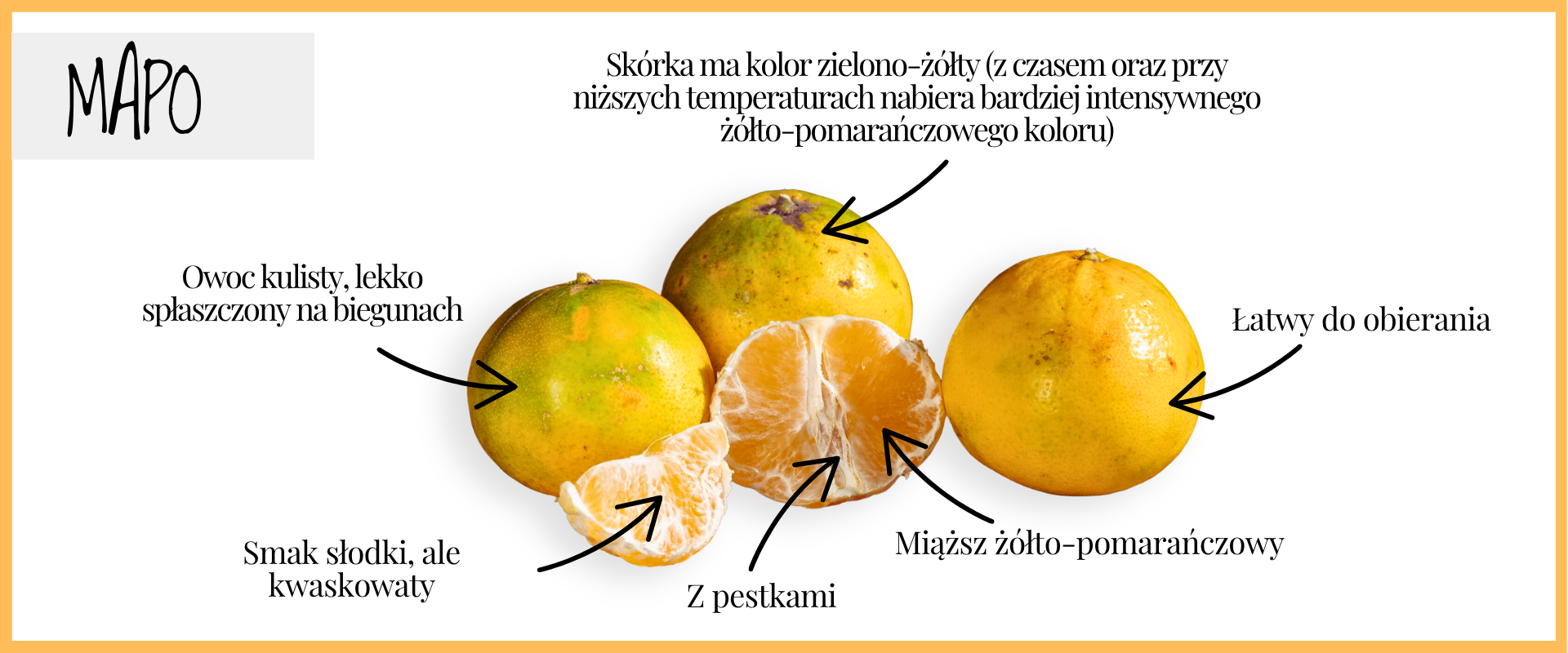 MAPO: KIEDY MANDARYNKA SPOTYKA GREJPFRUTA
